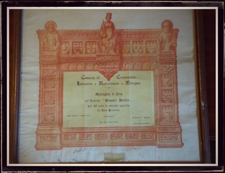 MedagliaD'Oro-RinaldiAttilio