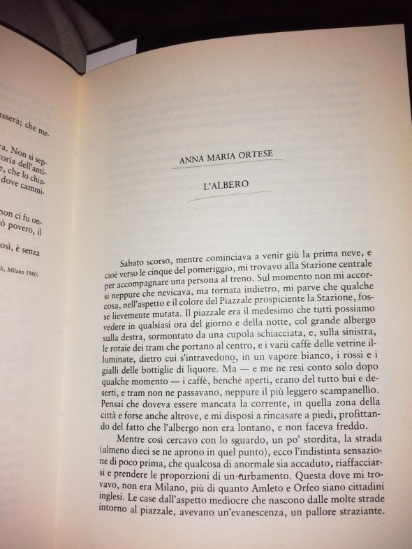 Anna Maria Ortese, collezione Simona Rinaldi