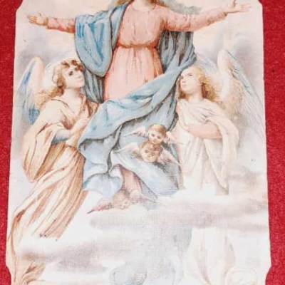 Assunzione di M.V. dopo il dolore la Felicità _ 15&nbsp;Agosto